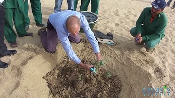 This Dutch company is going to try to reverse climate change by reforesting the world