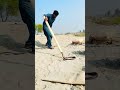 river, snake #villagelife