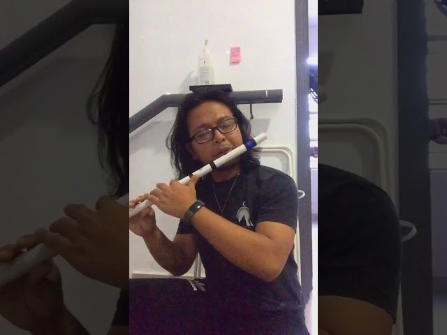 Sadness And Sorrow - Naruto (PVC Flute Cover) class=