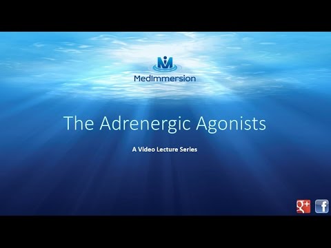 The Adrenergic Agonists