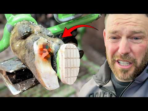 THIS is how you LEARN to HOOF TRIM Cow's Feet!