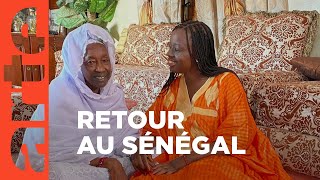 Retour de reportage : Jean-Yves Cauchard au Sénégal | ARTE info plus