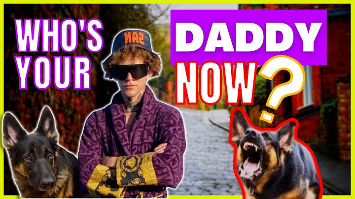 This Aggressive Dog Needed The Dog Daddy And She Got It.
