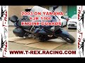 T-Rex Racing 2003-On Yamaha FJR 1300/ A/ AE/ ES Engine Guards.