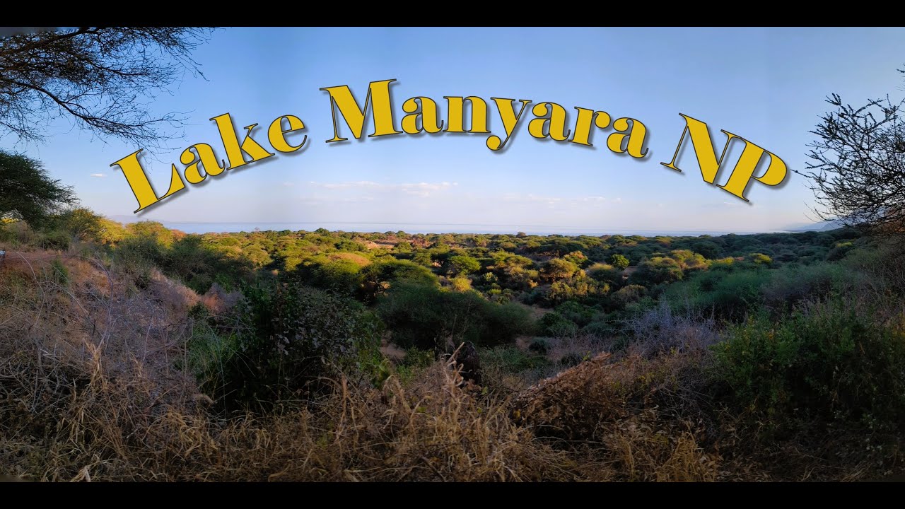 Game Drive Lake Manyara National Park