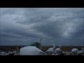 BIG SNOW GOOSE FLOCKS, BIG RAINING KILLS, 95% One Mornings Hunt, SNOWGOOSESPECIALIST.wmv