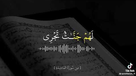 أكتب شيئ تؤجر عليه القارء:محمد الغزالي#حالات_واتساب مقاطع انستقرام#قران_كريم تلاوة_خاشعة #راحة_نفسية