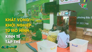 Khát vọng khởi nghiệp từ mô hình kinh tế tập thể | Thái Nguyên TV