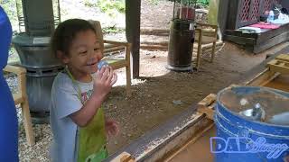 Blue Ridge Mountain Part 5 The Lilly Pad Village