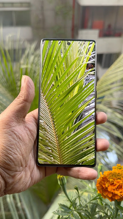Tecno camon 30 s . Nature photography..