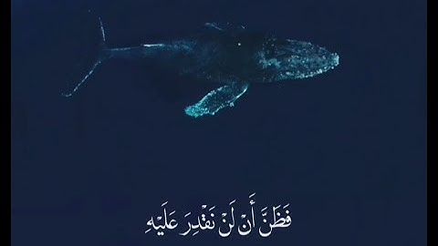 و ذا النون اذ ذهب مغاضبا - سورة الأنبياء / القارئ اسلام صبحي