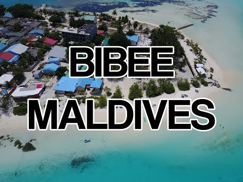 Video: Najbolje Raditi Na Dhiffushiju, Maldivima, Na Proračun