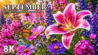 Peaceful August Flowers 8K 🌸 Bees, Butterflies, Dragonflies & Soft Autumn Garden 🍁 screenshot 3