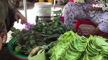 [Ghi nhanh] Con đường trầu cau giữa lòng TP HCM | NLĐTV