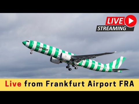 🔴Live Condor A330NEO