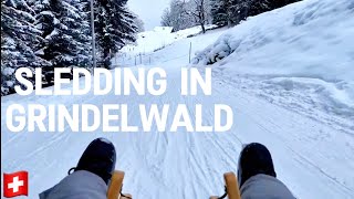 Grindelwald Adventure🇨🇭Sledding in Switzerland 🛷 Beautiful winter day in Grindelwald 4K