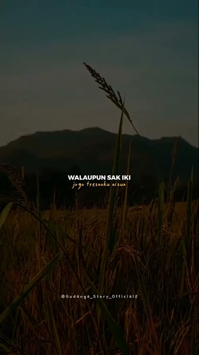 MENTAHAN STORY WA DENGAN BEKSOUND SALAM TRESNO