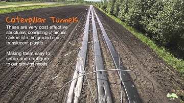 Building A Caterpillar Tunnel - Roots And Shoots Farm