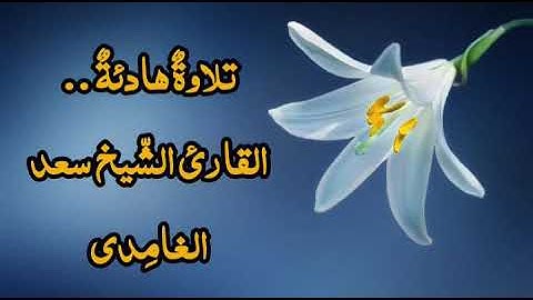 سورة الانفطار | تلاوة هادئة خاشعة للقارئ الشيخ سعد الغامدي |