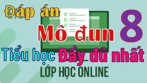 Đáp án mô đun 8 cấp Tiểu học đầy đủ câu hỏi tương tác, trắc nghiệm cuối khoá và bài tập cuối khoá.