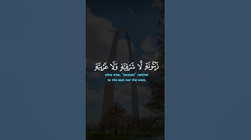 الله نور السموات والأرض من سورة النور #قرآن #قران_كريم #duet #آيات #تلاوة_خاشعة #راحة_نفسية