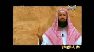 قصة حواء وقابيل وهابيل عليهما السلام  - فيديو لفضيلة الشيخ نبيل العوضي