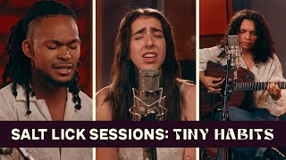 Tiny Habits: "Wishes" | Live Studio Performance | Salt Lick Sessions