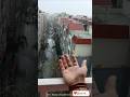 Baarish status video ❤️ #barish #baarish #trending #shorts