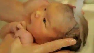Купание новорожденных. Очень трогательное видео Купание новорожденных. Очень трогательное видео