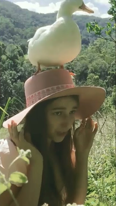 i can't believe | ducks fun in jungle | #jungle #ducks #shorts