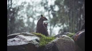 𝐒𝐞𝐫𝐞𝐧𝐢𝐭𝐲'𝐬 𝐇𝐨𝐫𝐢𝐳𝐨𝐧 | 𝐧𝐚𝐭𝐮𝐫𝐞'𝐬 𝐛𝐞𝐚𝐮𝐭𝐲 𝐮𝐧𝐟𝐨𝐥𝐝𝐬 | 𝒍𝒐𝒘 𝒗𝒐𝒍𝒖𝒎𝒆 screenshot 4