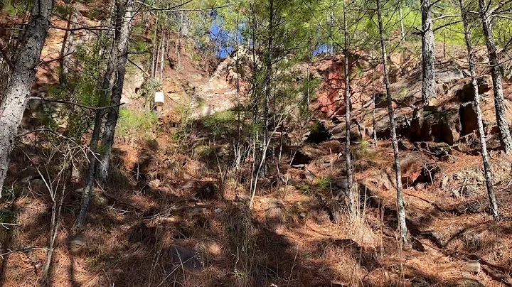 Clip #5 of a day rockhounding at Graves Mountain Georgia.