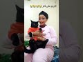 شي نهار يسلخوني واكوااك Chats Drôles Cat اكسبلور 