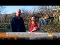 „Да хванеш гората”: Чужденци в българското село Паламарца - Събуди се (26.11.2017)