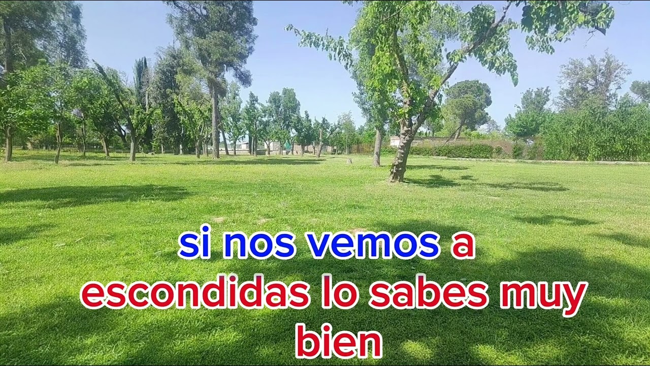 Amor de contrabando, eclipse DR KARAOKE 