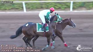 🔥Piloto🧑‍✈️ 🆚Heredero🔥 - Derby Clasico 2024. Fresno Hipodromo, SIN.🍅