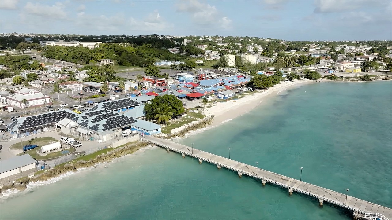 Protect This Barbados Food Chain At All Costs (Sea to Market to Table)