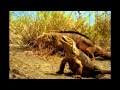 Galapagos Islands National Geographic