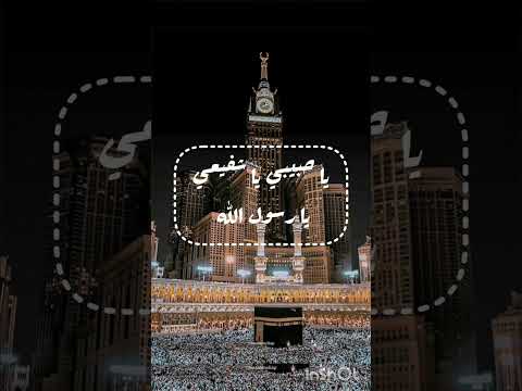 من يحب النبي ﷺ يضع 