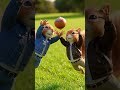 The Last Nut Showdown. #viral #story #ai #short #viralvideo #shorts #art #shortvideo #youtubeshorts