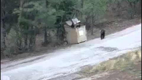 https   fbcdn video a akamaihd net hvideo ak prn2 v t42 1528994 723211804369291 798917523 n mp4 oh=c