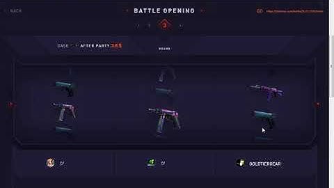 17$ battle case opening datdrop com
