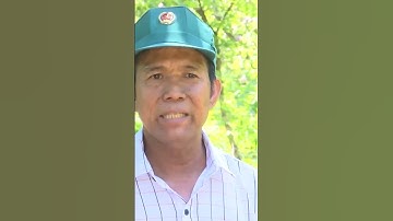 Lương chỉ 3tr/tháng không đủ ăn, bảo vệ rừng đồng loạt nghỉ việc