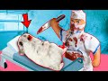 😱💉 Monster Doctor Hamster Obstacle Course Maze With Traps 😱 in Hamster 1001