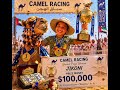 Camel Racing #booktok #fantasy #fiction #humor #adventure #audiobook #ebook