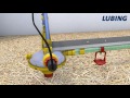 Automatic flushing poultry drinking lines at floor management