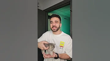 جبت قطة 