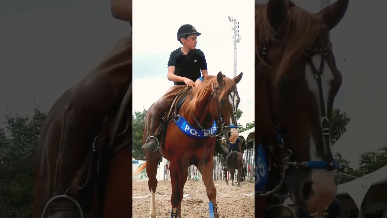 Shady Roxo Diego HJG fazendo história com o vaqueirinho Daniel Neto nas pista de vaquejada
