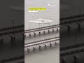 Helikopter Wisata Jatuh di Sungai Hudson, New York, 6 Orang Tewas | Narasi Daily