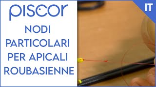 Nodi particolari per apicali roubasienne